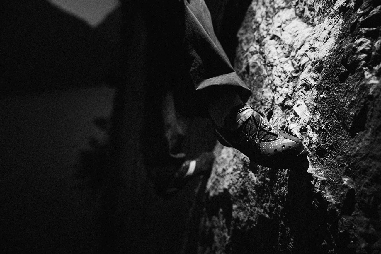 Blackbird - Image 8