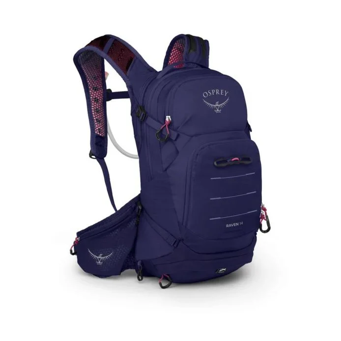 Raven 14 - Image 4