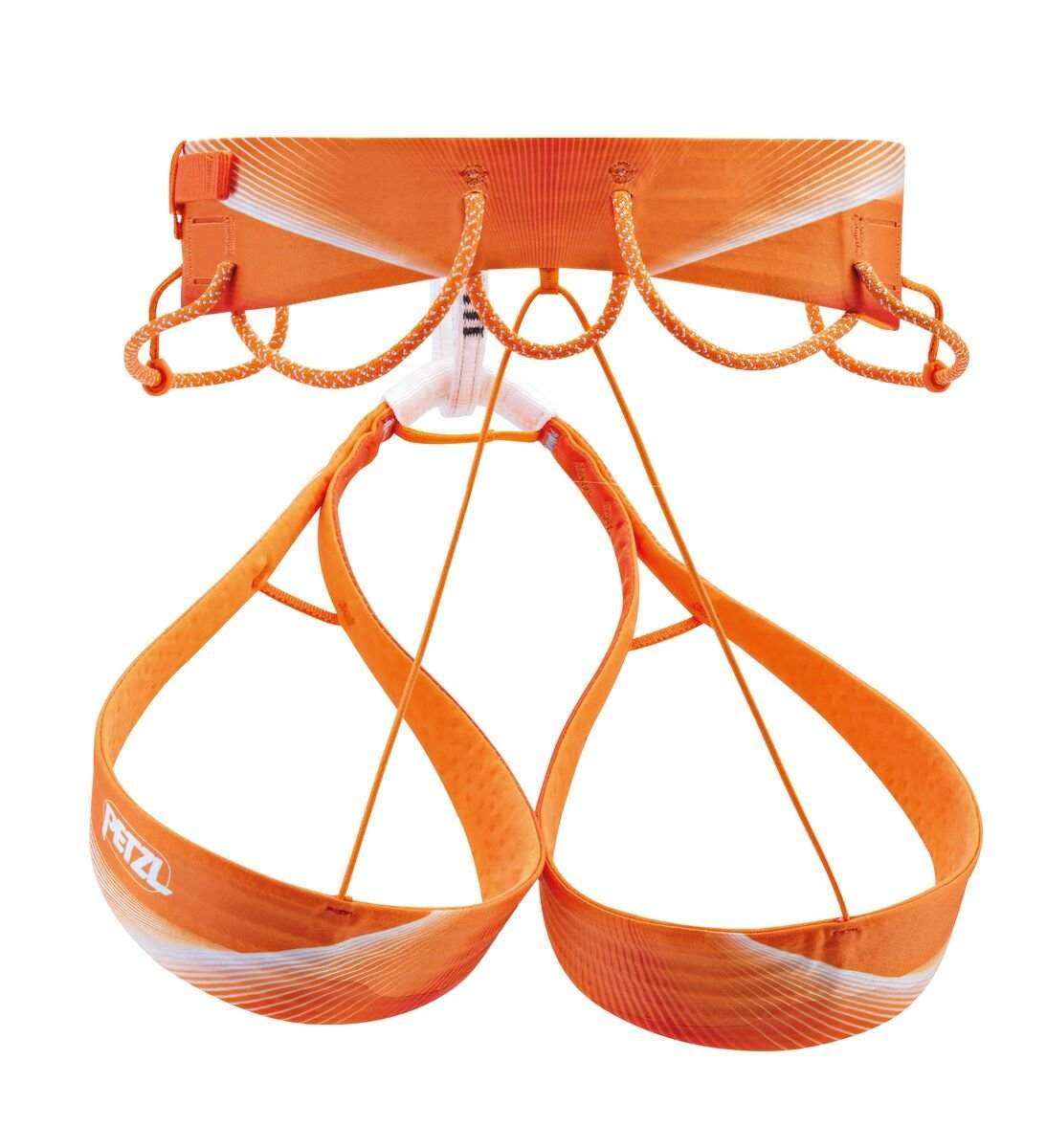 Sitta - Image 2