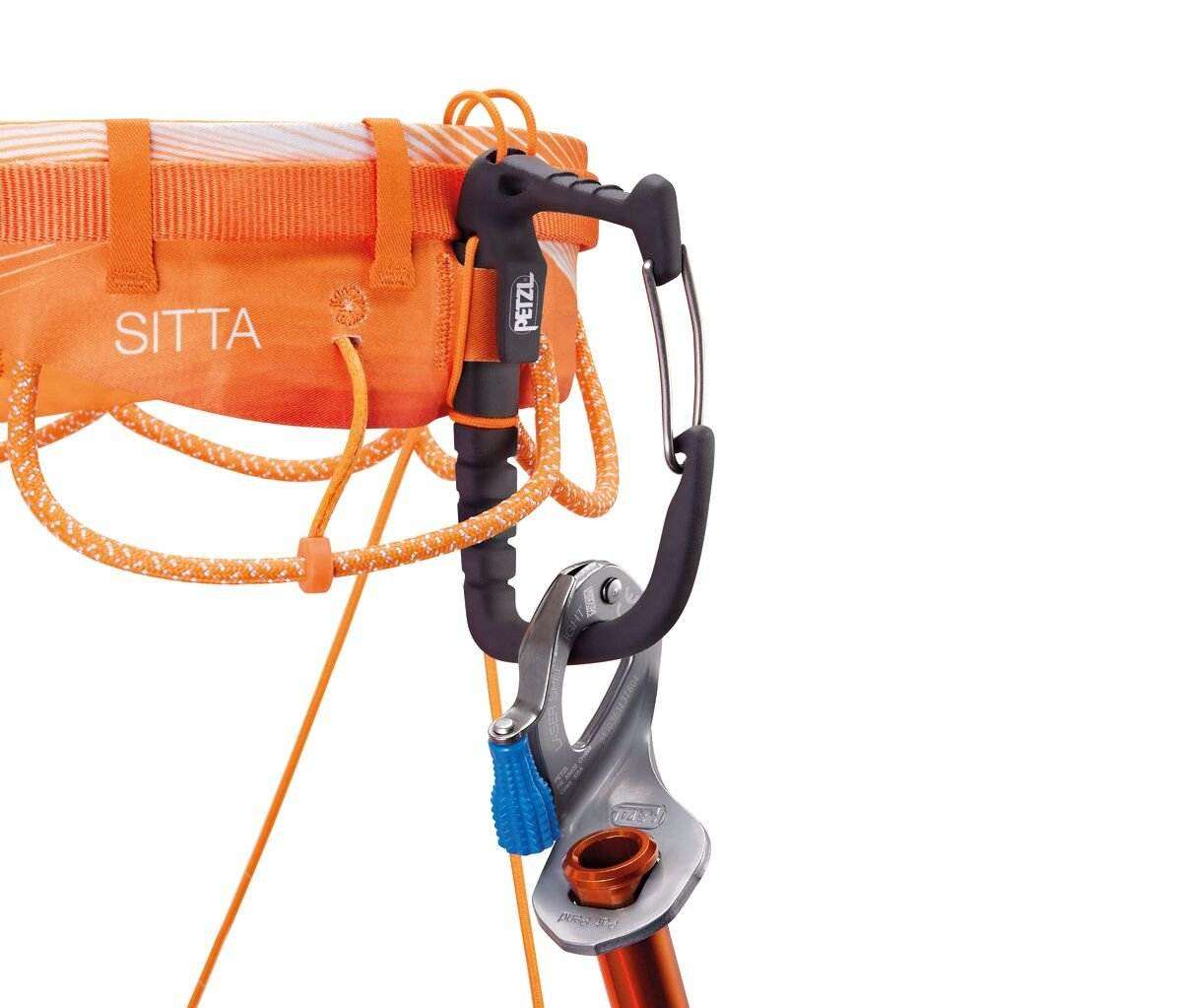 Sitta - Image 4