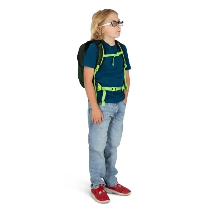 Talon Jr - Image 5
