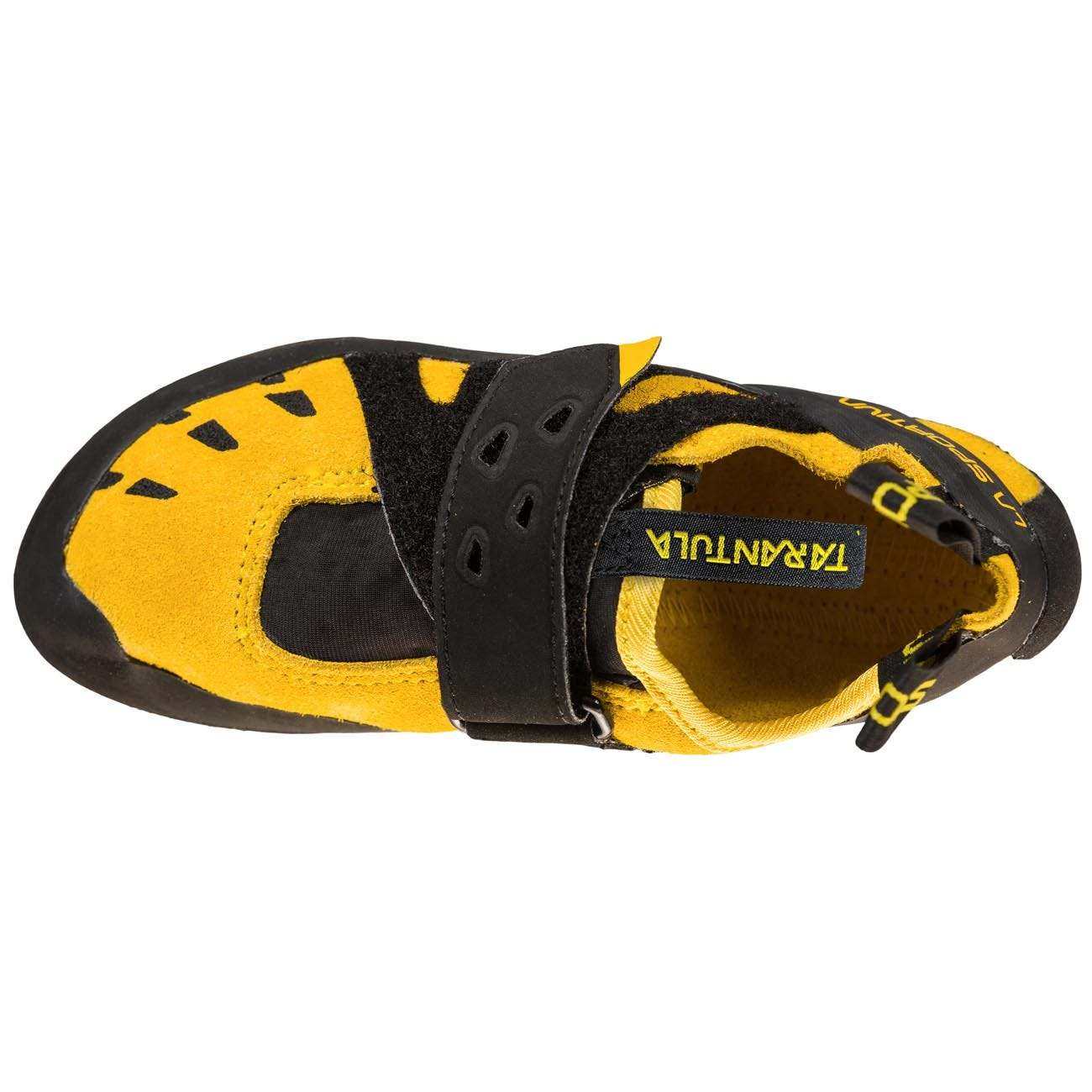 Tarantula JR - Image 7