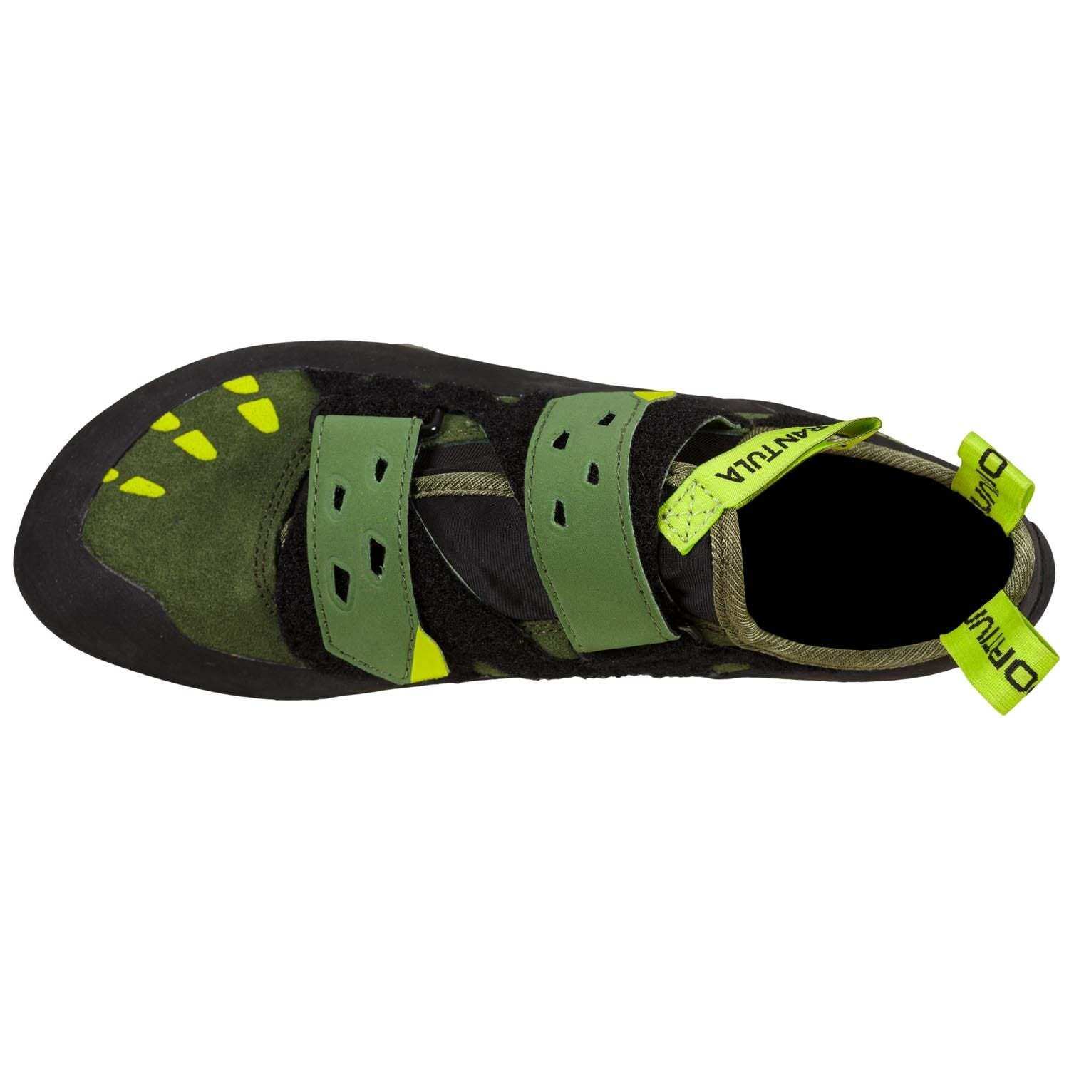 Tarantula, Olive/Neon - Image 7