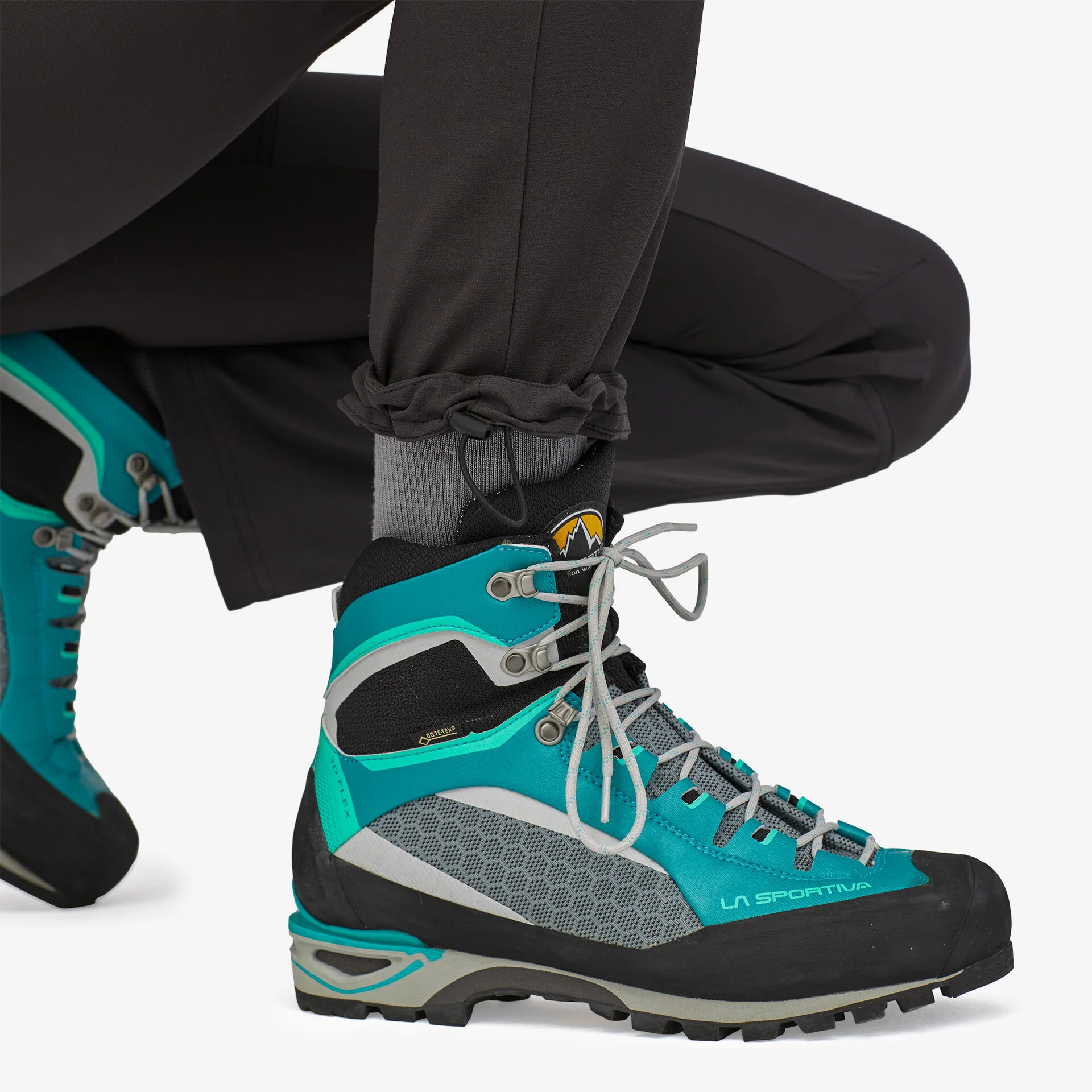 W's Altvia Alpine Pants - Image 6